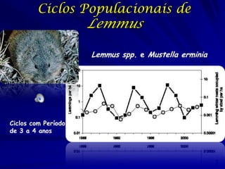 Ciclos Populacionais de
                     Lemmus

                     Lemmus spp. e Mustella erminia




Ciclos com Período
de 3 a 4 anos
 