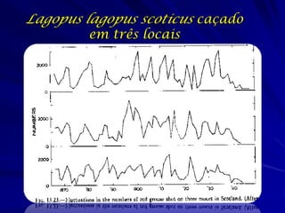 Lagopus lagopus scoticus caçado
        em três locais
 