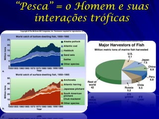“Pesca” = o Homem e suas
   interações tróficas
 