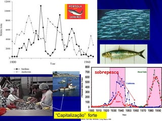 Sardine fishery



1800                   1960


                              sobrepesca




         “Capitalização” forte
 