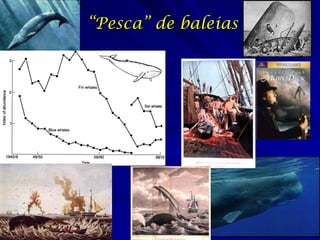 “Pesca” de baleias
 