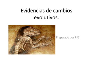 Evidencias de cambios
evolutivos.
Preparado por RKS
 