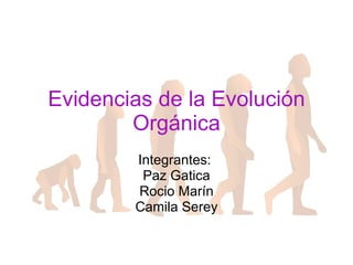Evidencias de la Evolución Orgánica Integrantes:  Paz Gatica Rocio Marín Camila Serey 