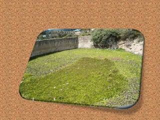 Evidencias De La Sesion 2