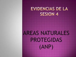 EVIDENCIAS DE LA SESION 4 AREAS NATURALES PROTEGIDAS (ANP) 