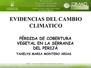 EVIDENCIAS DEL CAMBIO
CLIMATICO
PÉRDIDA DE COBERTURA
VEGETAL EN LA SERRANIA
DEL PERIJÁ
TAHELYS MARIA MONTERO ARIAS
 