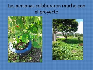Las personas colaboraron mucho con 
el proyecto 
 