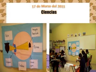 Ciencias
 