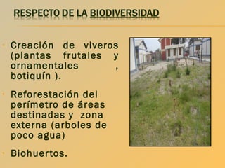 •

Creación de viveros
(plantas frutales y
ornamentales
,
botiquín ).

•

Reforestación del
perímetro de áreas
destinadas y zona
externa (arboles de
poco agua)

•

Biohuer tos.

 