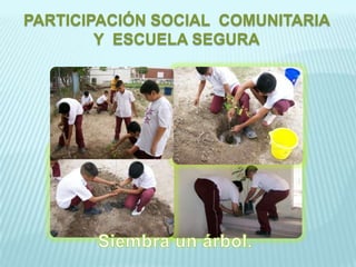 PARTICIPACIÓN SOCIAL  COMUNITARIA  Y  ESCUELA SEGURASiembra un árbol.