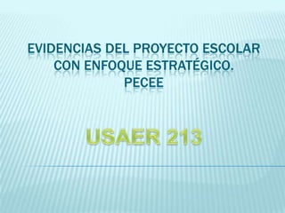 EVIDENCIAS DEL PROYECTO ESCOLAR CON ENFOQUE ESTRATÉGICO.PECEEUSAER 213
