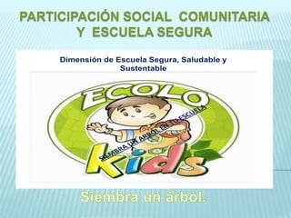PARTICIPACIÓN SOCIAL COMUNITARIA  Y  ESCUELA SEGURASiembra un árbol.