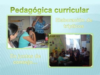 Pedagógica curricularElaboración de trípticosEn juntas de consejo…