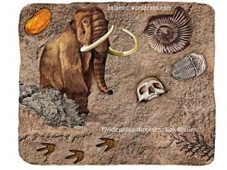 Evidencias directas: Los fósiles
 