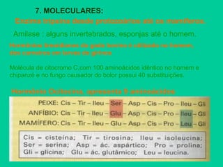 7. MOLECULARES:
Enzima tripsina desde protozoários até os mamíferos.
Amilase : alguns invertebrados, esponjas até o homem.
Hormônios tireoidianos do gado bovino é utilizado no homem,
dos carneiros em larvas de girinos
Molécula de citocromo C,com 100 aminoácidos idêntico no homem e
chipanzé e no fungo causador do bolor possui 40 substituições.
Hormônio Ocitocina, apresenta 9 aminoácidos
 