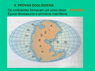 8. PROVAS ZOOLÓGICAS:
Os continentes formavam um único bloco – PANGÉIA –
Época dinossauros e primeiros mamíferos.
 
