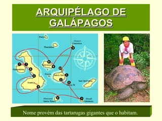ARQUIPÉLAGO DE GALÁPAGOS Nome provém das tartarugas gigantes que o habitam. 
