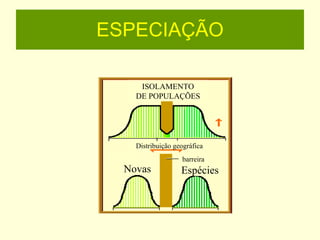 ESPECIAÇÃO ISOLAMENTO DE POPULAÇÕES barreira Distribuição geográfica Novas Espécies 