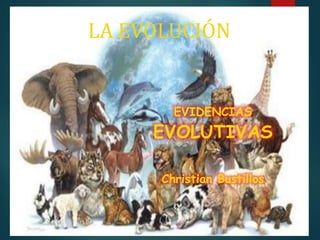 LA EVOLUCIÓN
EVIDENCIAS
EVOLUTIVAS
Christian Bustillos
 