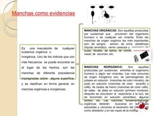 MANCHAS ORGÁNICAS: Son aquéllas producidas
por sustancias que provienen del organismo
humano o de cualquier ser viviente. Entre las
manchas de origen orgánico las más importantes
son: de sangre, semen, de orina, obstétricas
(líquido amniótico, vemix caseosa y meconio), de
sudor, fecales, de saliva, de vómito, de mucosa
nasal, de cerumen, etc.
Manchas como evidencias
Es una maculación de cualquier
sustancia orgánica o
inorgánica. Uno de los indicios que con
más frecuencia se puede encontrar en
el lugar de los hechos, son las
manchas de diferente procedencia
impregnadas sobre alguna superficie,
y se clasifican en forma general, en
marchas orgánicas e inorgánicas.
MANCHAS INORGÁNICO: Son aquellas
producidas por sustancias extrañas al organismo
humano o algún ser vivientes. Las más comunes
de origen inorgánico son; de permanganato de
potasio en solución (manchas de color morado), de
yodo en solución (manchas de color amarillo y
café), de óxidos de hierro (manchas de color café),
de sales de plata en solución (primero incoloras,
después se oscurecen al exponerse a la luz), las
de bicromato en solución (amarillas), algunos
ácidos, etc. Las manchas fundamentalmente
orgánicas deberán buscarse en las áreas
asociadas y cercanas al escenario del crimen, así
como alrededor y en las ropas de la victima.
 