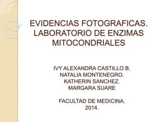 EVIDENCIAS FOTOGRAFICAS.
LABORATORIO DE ENZIMAS
MITOCONDRIALES
IVY ALEXANDRA CASTILLO B.
NATALIA MONTENEGRO.
KATHERIN SANCHEZ.
MARGARA SUARE
FACULTAD DE MEDICINA.
2014.
 