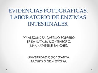 EVIDENCIAS FOTOGRAFICAS.
LABORATORIO DE ENZIMAS
INTESTINALES.
IVY ALEXANDRA CASTILLO BORRERO.
ERIKA NATALIA MONTENEGRO.
LINA KATHERINE SANCHEZ.
UNIVERSIDAD COOPERATIVA.
FACULTAD DE MEDICINA.
 