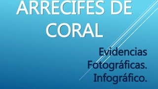 ARRECIFES DE
CORAL
Evidencias
Fotográficas.
Infográfico.
 