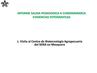 INFORME SALIDA PEDAGOGICA A CUNDINAMARCA
EVIDENCIAS FOTOGRAFICAS
1. Visita al Centro de Biotecnología Agropecuaria
del SENA en Mosquera
 