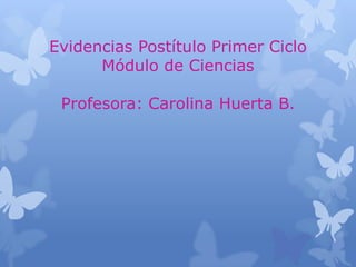 Evidencias Postítulo Primer Ciclo
      Módulo de Ciencias

 Profesora: Carolina Huerta B.
 