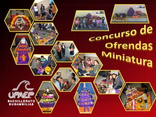 Evidencias Octubre 2008