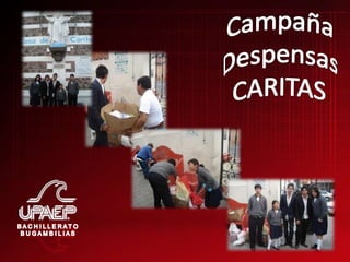 Evidencias Octubre 2008