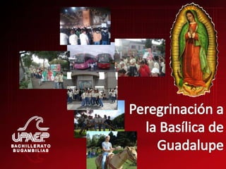 Evidencias Octubre 2008