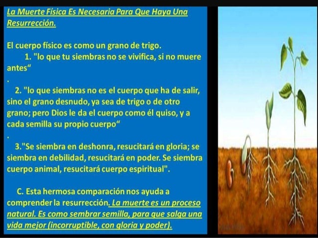 Evidencias Biblicas Confirmadas Por La Ciencia