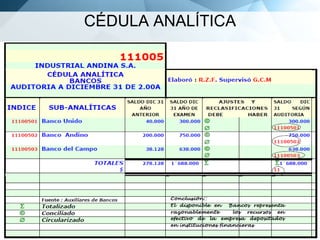 CÉDULA ANALÍTICA

 