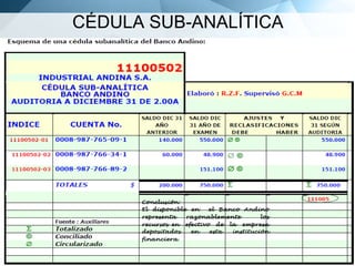 CÉDULA SUB-ANALÍTICA

 