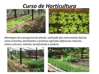 Curso de HorticulturaMontagem do cronograma de plantio: utilização dos instrumentos básicos como sementes, fertilizantes e produtos agrícolas defensivos naturais, tratos culturais, colheita, beneficiando o produto.