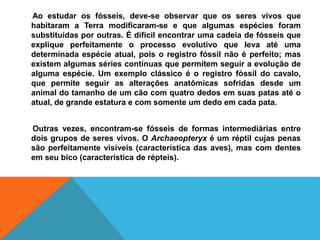 Ao estudar os fósseis, deve-se observar que os seres vivos que
habitaram a Terra modificaram-se e que algumas espécies foram
substituídas por outras. É difícil encontrar uma cadeia de fósseis que
explique perfeitamente o processo evolutivo que leva até uma
determinada espécie atual, pois o registro fóssil não é perfeito; mas
existem algumas séries contínuas que permitem seguir a evolução de
alguma espécie. Um exemplo clássico é o registro fóssil do cavalo,
que permite seguir as alterações anatômicas sofridas desde um
animal do tamanho de um cão com quatro dedos em suas patas até o
atual, de grande estatura e com somente um dedo em cada pata.
Outras vezes, encontram-se fósseis de formas intermediárias entre
dois grupos de seres vivos. O Archaeopteryx é um réptil cujas penas
são perfeitamente visíveis (característica das aves), mas com dentes
em seu bico (característica de répteis).
 