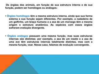 Os órgãos dos animais, em função de sua estrutura interna e de sua
função, podem ser homólogos ou análogos:
• Órgãos homólogos têm a mesma estrutura interna, ainda que sua forma
externa e sua função sejam diferentes. Por exemplo, a nadadeira de
um golfinho, um braço humano e a asa de um morcego têm a mesma
origem e estrutura anatômica. As espécies com esses órgãos
sofreram evolução divergente.
• Órgãos análogos possuem uma mesma função, mas suas estruturas
internas são distintas; por exemplo, a asa de um inseto e a asa de
uma ave têm estruturas internas totalmente distintas, mas com a
mesma função, voar. Nesse caso, falamos de evolução convergente.
 