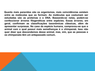 Quanto mais parecidos são os organismos, mais coincidências existem
entre as moléculas que os formam. As moléculas que costumam ser
estudadas são as proteínas e o DNA. Baseando-se nelas, podem-se
confeccionar árvores filogenéticas entre espécies. Essas árvores, em
geral, confirmam as classificações taxonômicas clássicas, além de
apresentar surpresas. No caso da espécie humana, comprovou-se que o
animal com o qual possui mais semelhanças é o chimpanzé. Isso não
quer dizer que descendemos desse animal, mas, sim, que as pessoas e
os chimpanzés têm um antepassado comum.
 