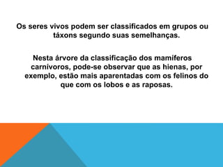 Os seres vivos podem ser classificados em grupos ou
táxons segundo suas semelhanças.
Nesta árvore da classificação dos mamíferos
carnívoros, pode-se observar que as hienas, por
exemplo, estão mais aparentadas com os felinos do
que com os lobos e as raposas.
 