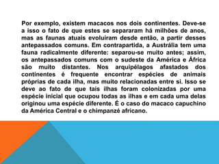 Por exemplo, existem macacos nos dois continentes. Deve-se
a isso o fato de que estes se separaram há milhões de anos,
mas as faunas atuais evoluíram desde então, a partir desses
antepassados comuns. Em contrapartida, a Austrália tem uma
fauna radicalmente diferente: separou-se muito antes; assim,
os antepassados comuns com o sudeste da América e África
são muito distantes. Nos arquipélagos afastados dos
continentes é frequente encontrar espécies de animais
próprias de cada ilha, mas muito relacionadas entre si. Isso se
deve ao fato de que tais ilhas foram colonizadas por uma
espécie inicial que ocupou todas as ilhas e em cada uma delas
originou uma espécie diferente. É o caso do macaco capuchino
da América Central e o chimpanzé africano.
 