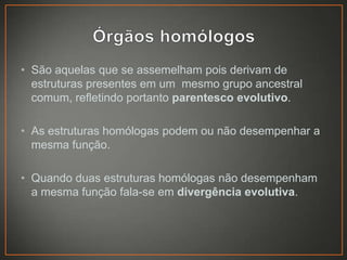 • São aquelas que se assemelham pois derivam de
estruturas presentes em um mesmo grupo ancestral
comum, refletindo portanto parentesco evolutivo.
• As estruturas homólogas podem ou não desempenhar a
mesma função.
• Quando duas estruturas homólogas não desempenham
a mesma função fala-se em divergência evolutiva.

 