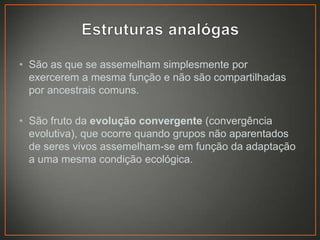 • São as que se assemelham simplesmente por
exercerem a mesma função e não são compartilhadas
por ancestrais comuns.
• São fruto da evolução convergente (convergência
evolutiva), que ocorre quando grupos não aparentados
de seres vivos assemelham-se em função da adaptação
a uma mesma condição ecológica.

 