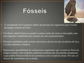 •

É considerado fóssil qualquer indício da presença de organismos que viveram
em tempos remotos da Terra.

• Um fóssil animal forma-se quando as partes moles do corpo se decompõe, mas
seu esqueleto é substituído por minerais do solo (mineralização).
• Processo semelhante pode ocorrer com troncos de árvores são recobertos de lava,
e a sílica substitui a madeira.
• Representa a possibilidade de conhecermos organismos que viveram na Terra em
tempos remotos, sob condições ambientais distintas das encontradas atualmente,
e que podem fornecer indícios de parentesco com as espécies atuais. Por isso, os
fósseis são testemunhos da evolução.

 