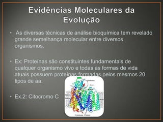 • As diversas técnicas de análise bioquímica tem revelado
grande semelhança molecular entre diversos
organismos.
• Ex: Proteínas são constituintes fundamentais de
qualquer organismo vivo e todas as formas de vida
atuais possuem proteínas formadas pelos mesmos 20
tipos de aa.

• Ex.2: Citocromo C

 