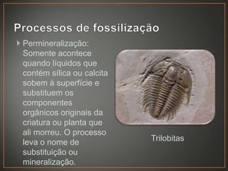  Permineralização:
Somente acontece
quando líquidos que
contém sílica ou calcita
sobem à superfície e
substituem os
componentes
orgânicos originais da
criatura ou planta que
ali morreu. O processo
leva o nome de
substituição ou
mineralização.

Trilobitas

 