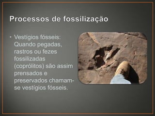 • Vestígios fósseis:
Quando pegadas,
rastros ou fezes
fossilizadas
(coprólitos) são assim
prensados e
preservados chamamse vestígios fósseis.

 