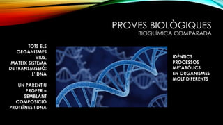 PROVES BIOLÒGIQUES
BIOQUÍMICA COMPARADA
TOTS ELS
ORGANISMES
VIUS,
MATEIX SISTEMA
DE TRANSMISSIÓ:
L’ DNA
UN PARENTIU
PROPER =
SEMBLANT
COMPOSICIÓ
PROTEÏNES I DNA
IDÈNTICS
PROCESSOS
METABÒLICS
EN ORGANISMES
MOLT DIFERENTS
 