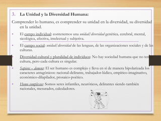 3. La Unidad y la Diversidad Humana:
Comprender lo humano, es comprender su unidad en la diversidad, su diversidad
en la unidad.
• El campo individual: contenemos una unidad/diversidad genética, cerebral, mental,
sicológica, afectiva, intelectual y subjetiva.
• El campo social: unidad/diversidad de las lenguas, de las organizaciones sociales y de las
culturas.
• Diversidad cultural y pluralidad de individuos: No hay sociedad humana que no tenga
cultura, pero cada cultura es singular.
• Sapiens – demens: El ser humano es complejo y lleva en sí de manera bipolarizada los
caracteres antagónicos: racional-delirante, trabajador-lúdico, empírico-imaginativo,
económico-dilapilador, prosaico-poético.
• Homo complexus: Somos seres infantiles, neuróticos, delirantes siendo también
racionales, mesurados, calculadores.
 