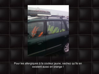 Pour les allergiques à la couleur jaune, sachez qu’ils en existent aussi en orange ! 